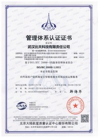 ISO20000-信息技術(shù)服務(wù)管理體系